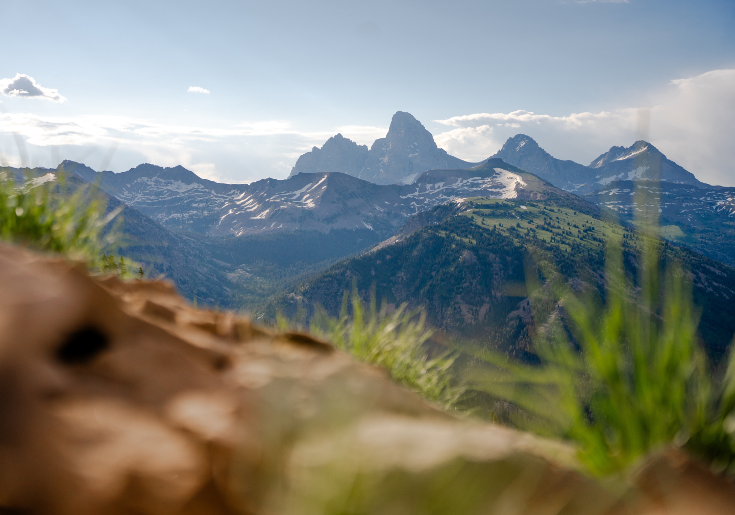 Mountain range with grassy foreground under clear sky.