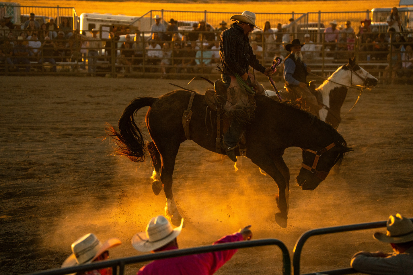 Cowboy riding bucking horse at sunset in a rodeo arena.
