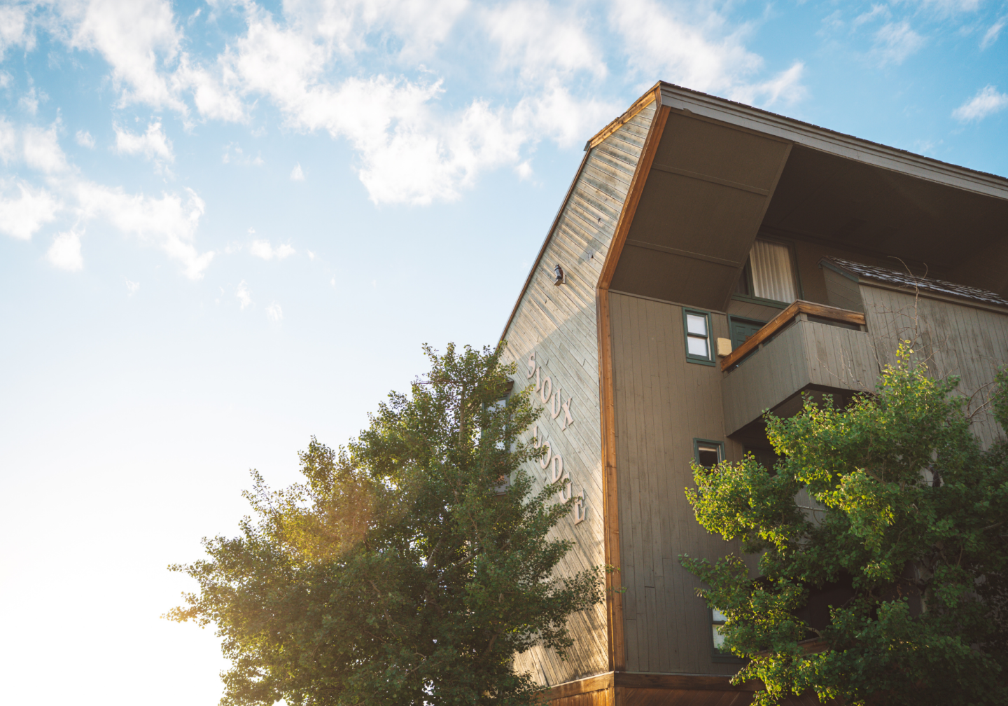 Modern building and trees under a bright sky at sunset.toui