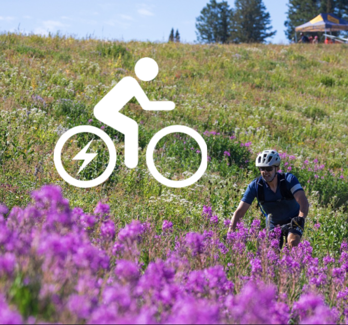 Cyclist in helmet riding through a field of purple flowers.