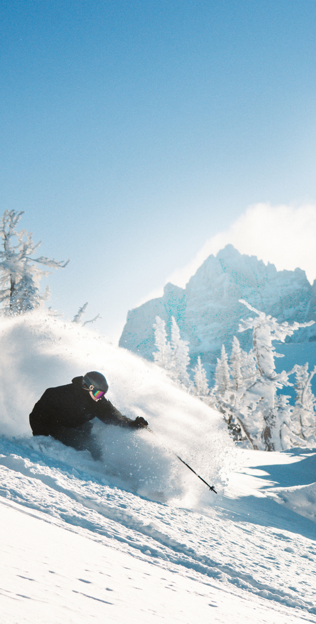 Skier carving through fresh snow with snowy mountains behind.