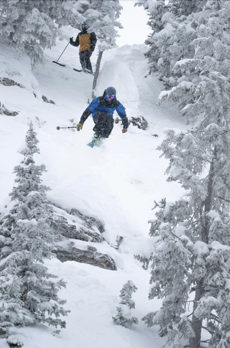 Grand Targhee IFSA 3* Junior National 2027 poster or cover